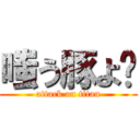 嗤う豚よ〜 (attack on titan)