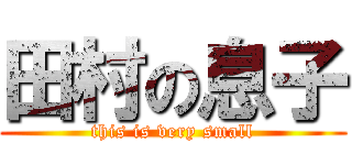 田村の息子 (this is very small)