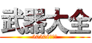 武器大全 (50508林哲安)