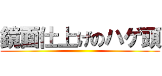 鏡面仕上げのハゲ頭 ()