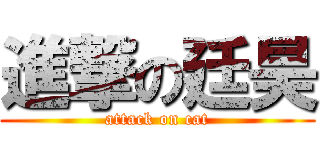 進撃の廷昊 (attack on cat)