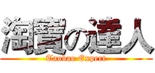 淘寶の達人 (Taobao Expert)