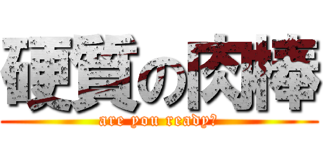 硬質の肉棒 (are you ready?)