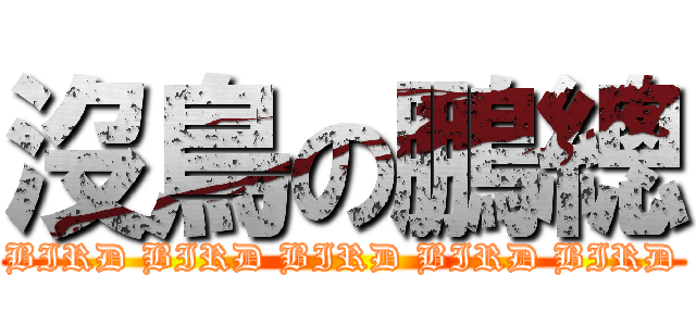 沒鳥の鵬總 (BIRD BIRD BIRD BIRD BIRD)