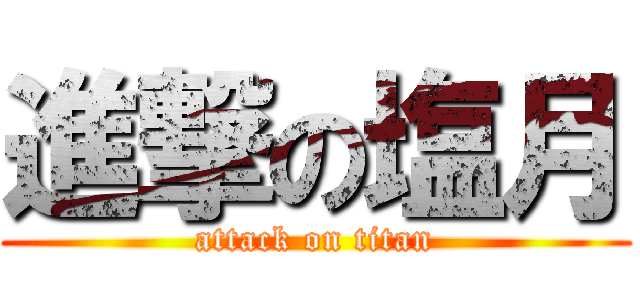 進撃の塩月 (attack on titan)