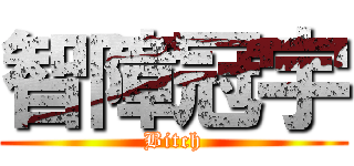 智障冠宇 (Bitch)