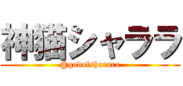 神猫シャララ (@godofsharara)