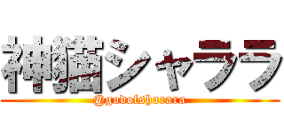 神猫シャララ (@godofsharara)