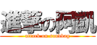 進撃の阿凱 (attack on sandbag)