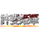 許斐姫華 (                             Kihana)