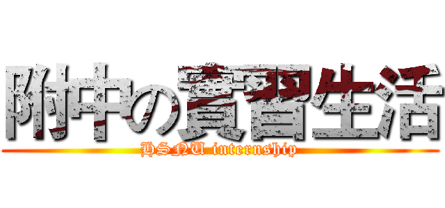 附中の實習生活 (HSNU internship)