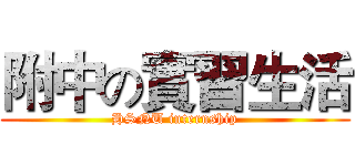 附中の實習生活 (HSNU internship)