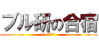 ブル研の合宿 (in 小豆島)