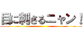 目に刺さるニャン！ ()