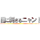 目に刺さるニャン！ ()