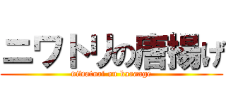 ニワトリの唐揚げ (niwatori on karaage)