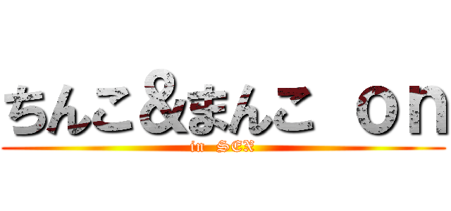 ちんこ＆まんこ ｏｎ (in  SEX)
