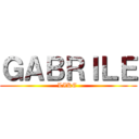 ＧＡＢＲＩＬＥ (LIKE )