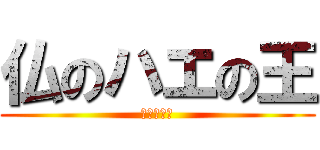 仏のハエの王 (ベルゼブブ)