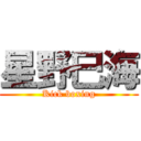 星野巳海 (Kick boxing)