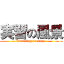 実習の風景 (Training scenery )