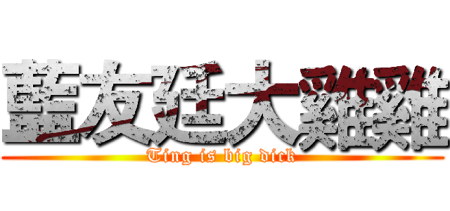 藍友廷大雞雞 (Ting is big dick)