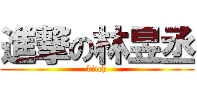 進撃の林昱丞 (bitch)