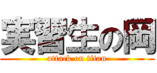 実習生の岡 (attack on titan)