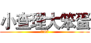 小查理大笨蛋 (我是87)