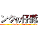 ンクの仔豚 (attack on titan)