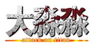 大淼淼 (attack on titan)