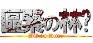 區緊の林瑋 (DT on Dlim)