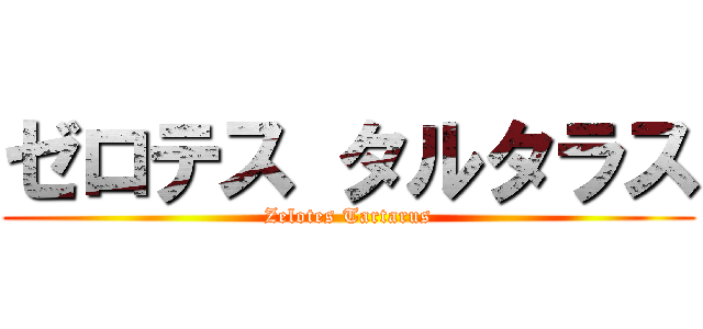 ゼロテス タルタラス (Zelotes Tartarus)