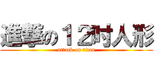 進撃の１２吋人形 (attack on titan)