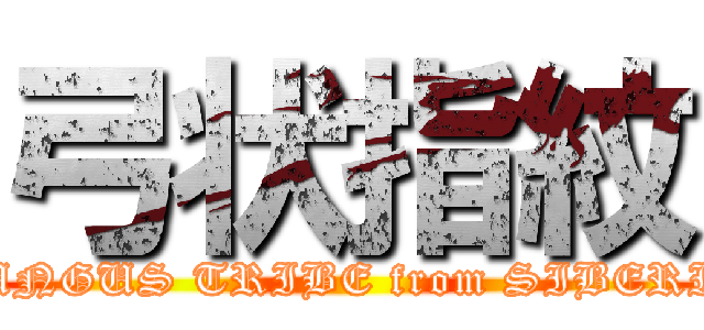 弓状指紋 (TUNGUS TRIBE from SIBERIA)