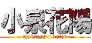 小泉花陽 (madness of rice)