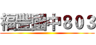 福豐國中８０３ ()