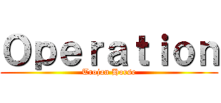 Ｏｐｅｒａｔｉｏｎ (Trojan Horse)