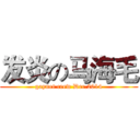 发炎の马海毛 (gaynet crew Dec.2014)