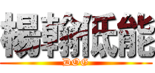 楊翰低能 (DOG)