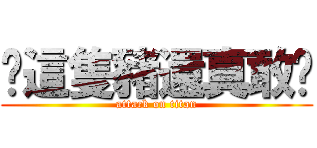 你這隻豬還真敢說 (attack on titan)