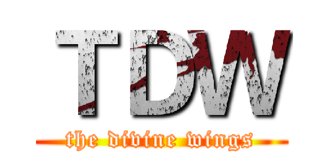 ＴＤＷ (the divine wings)