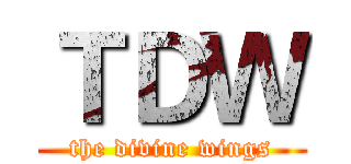 ＴＤＷ (the divine wings)