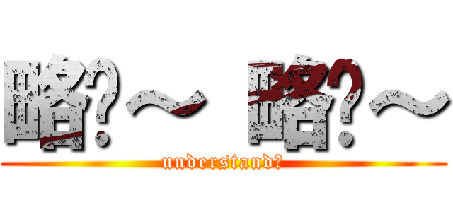 略懂～ 略懂～ (understand?)