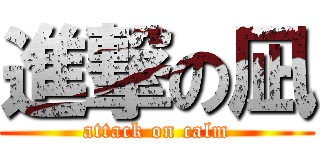 進撃の凪 (attack on calm)