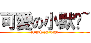 可愛の小默ㄦ~ (attack on titan)