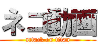 ネコ動画 (attack on titan)