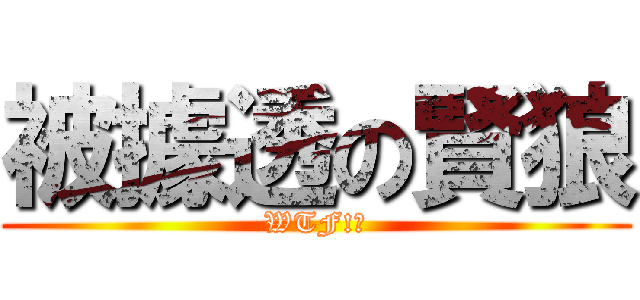 被據透の賢狼 (WTF!?)