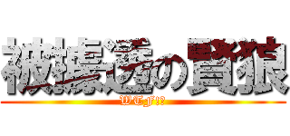 被據透の賢狼 (WTF!?)