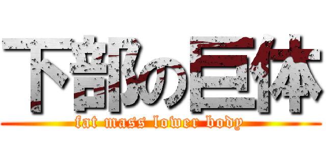 下部の巨体 (fat mass lower body)